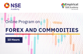 Forex and Commodities - Training program